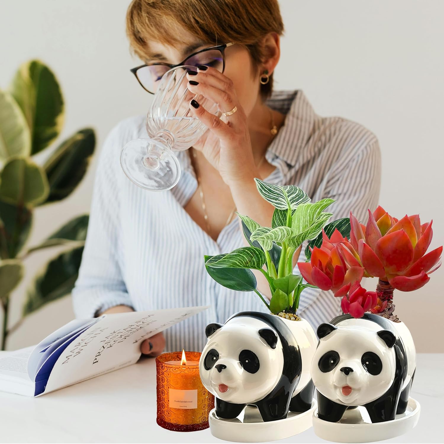 2PC Panda Bamboo Planter Pots-5.7‘‘ Ceramic Animal Planters | Succulent Pots & Drainage Tray-Lucky Bamboo Plant Pots Flower Pots Indoor-Air Plants-Cactus Planters-Garden Home Decor