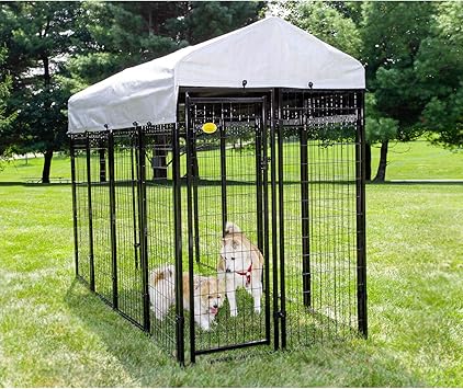 dog fence 6ft