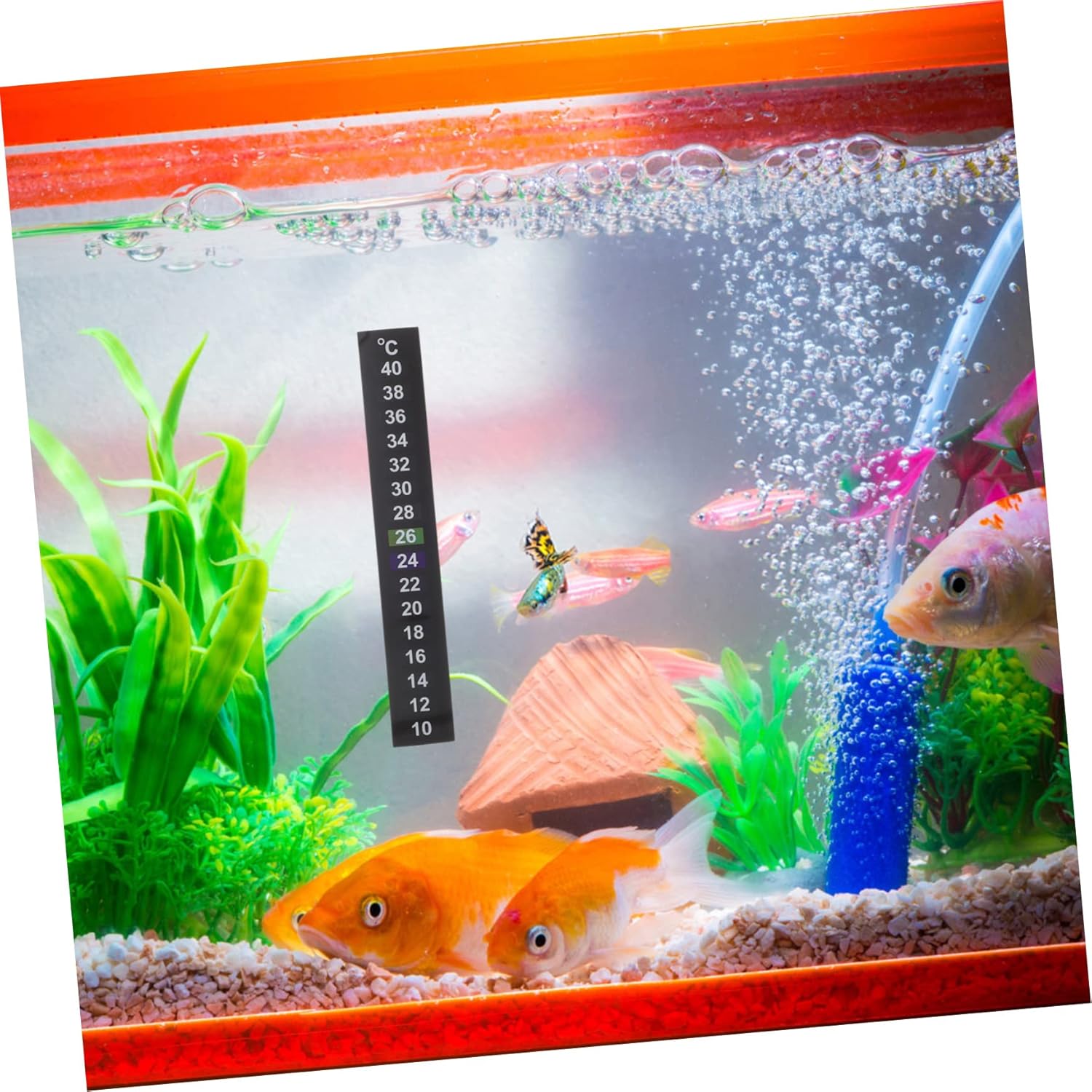 YARNOW 40pcs Aquarium Thermometer Sticker Color Changing Thermometer Strips for Fish Tanks Self-Adhesive Temperature Display Easy to Use for Aquatic Environments