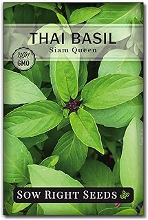 Sow Right Seeds - Sweet Large Leaf Thai Basil Seed for Planting; Non-GMO Heirloom Seeds; Instructions to Plant and Grow a ...