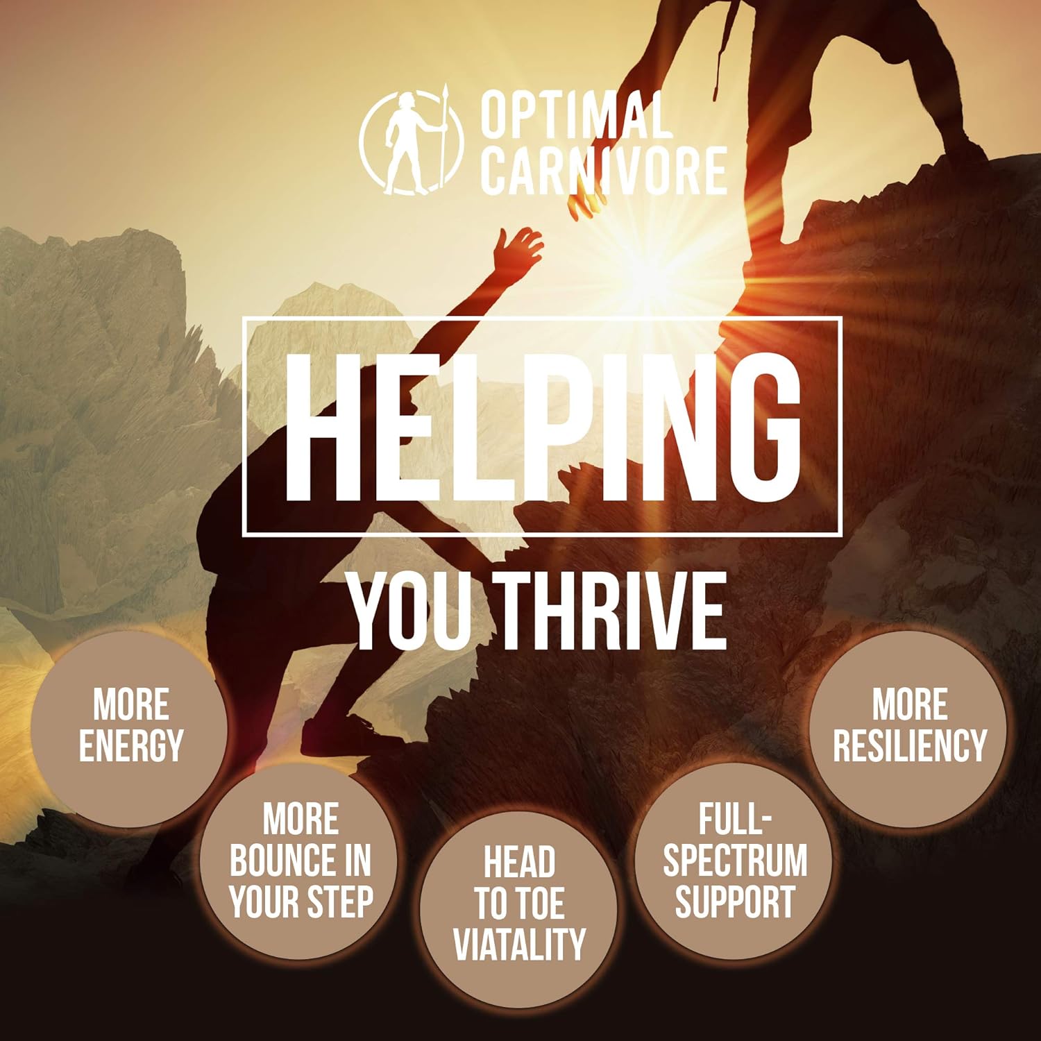 Grass Fed Organ Complex & Liver : Health & Household