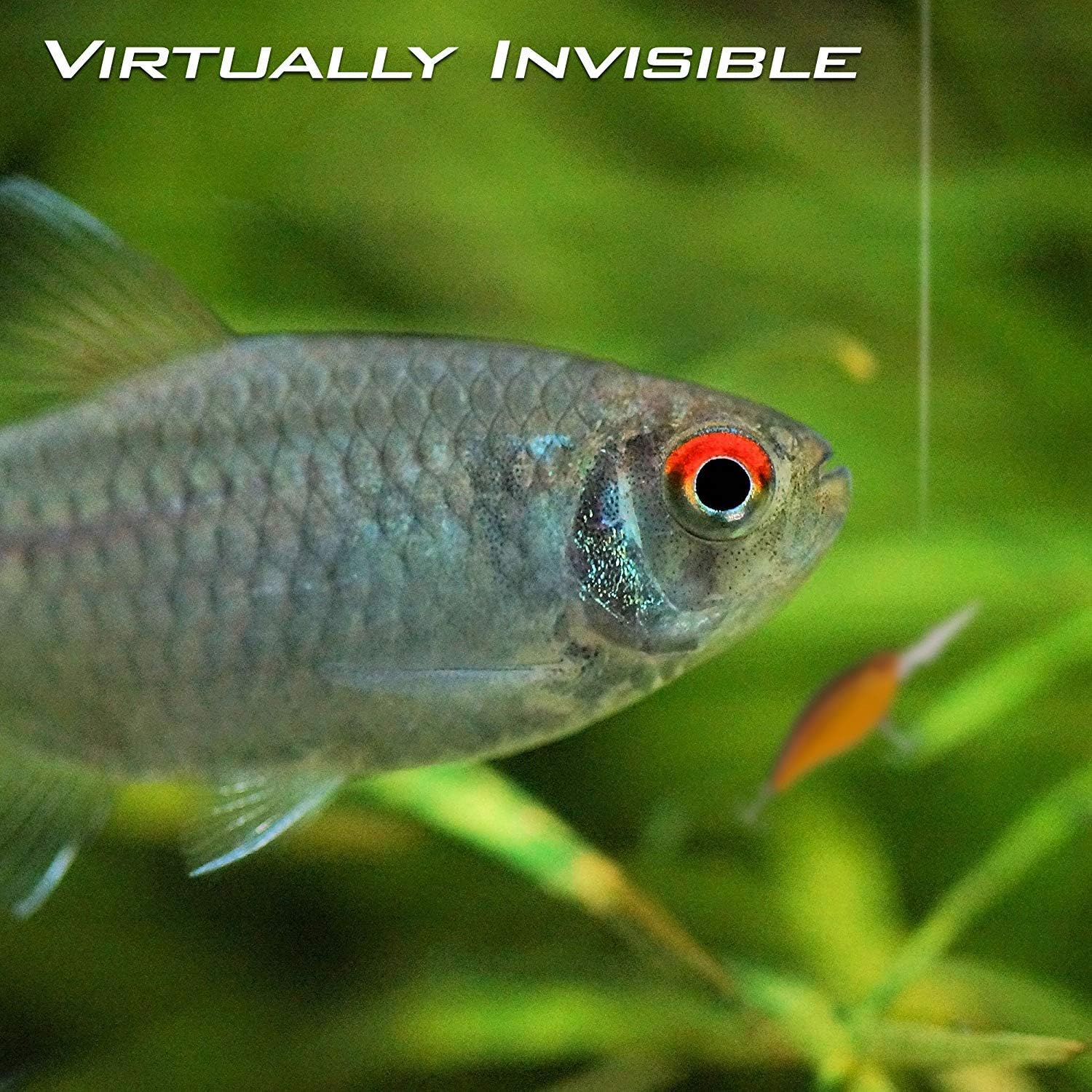 KastKing DuraBlend Monofilament Leader Line - Premium Saltwater Mono Leader Materials - Big Game Spool Size 120Yds/110M : Sports & Outdoors