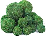 NAHADS Decorative Moss Balls