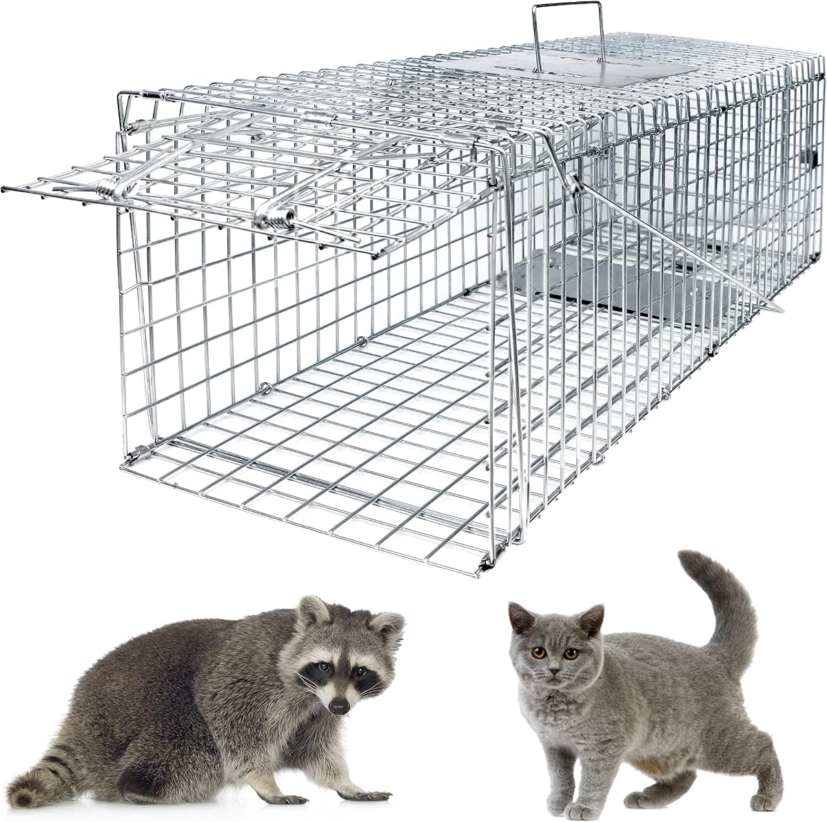 Live Animal Trap - 32'' Humane Way Folding Raccoon Traps, Humane Live Trap Cage Indoor and Outdoor for Stray Cats, Raccoons, Squirrel, Skunk, Mole, Groundhog, Armadillo, Rabbit