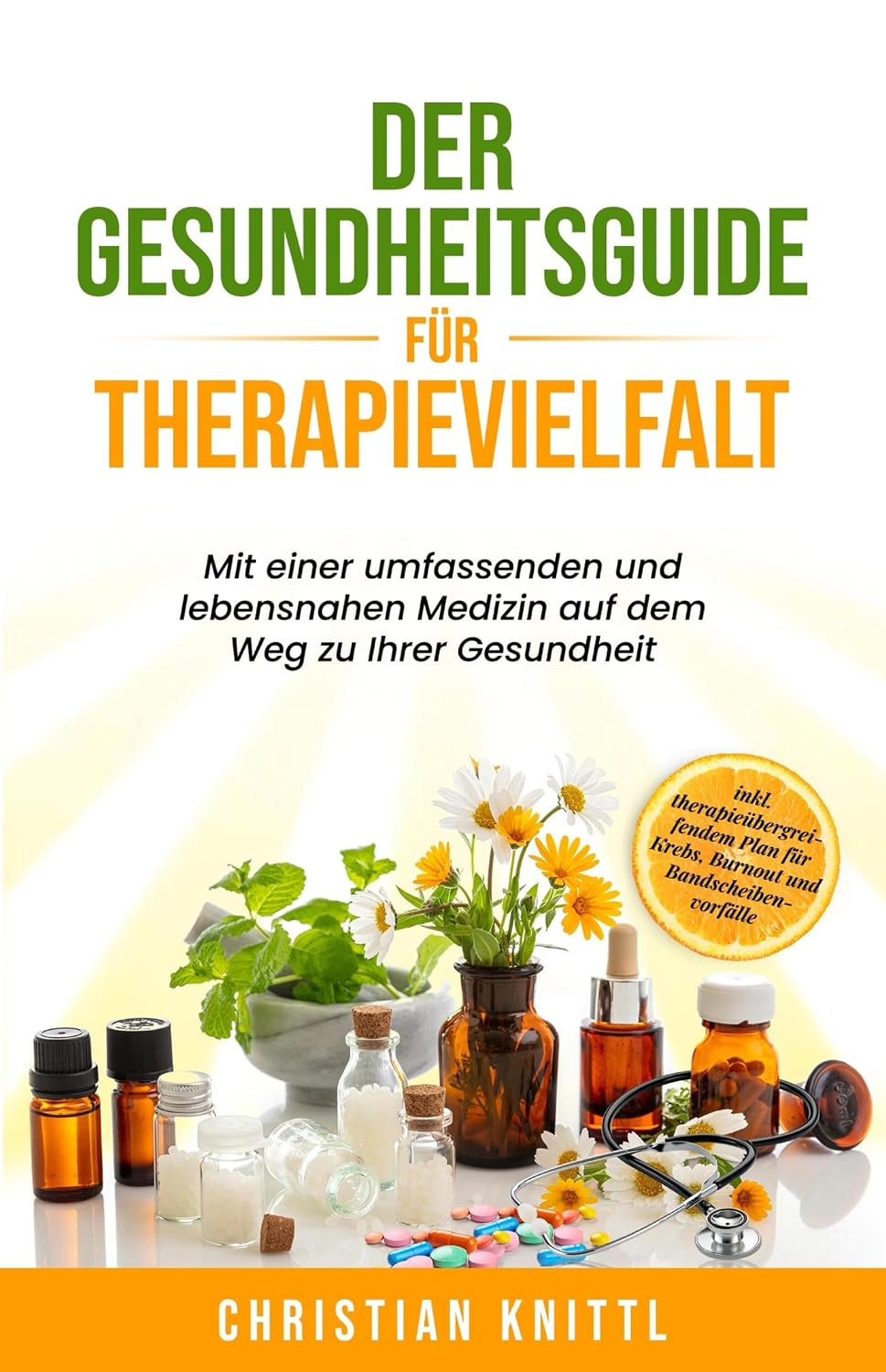 Der Gesundheitsguide für Therapievielfalt: Mit einer umfassenden und lebensnahen Medizin auf dem Weg zu Ihrer Gesundheit (German Edition)