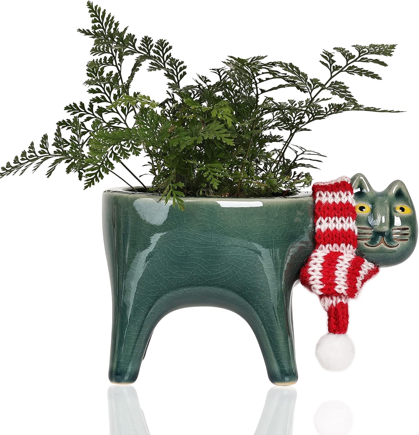 ガーデニングラック スチールラック 植物棚 アガベ グラキリス 塊根