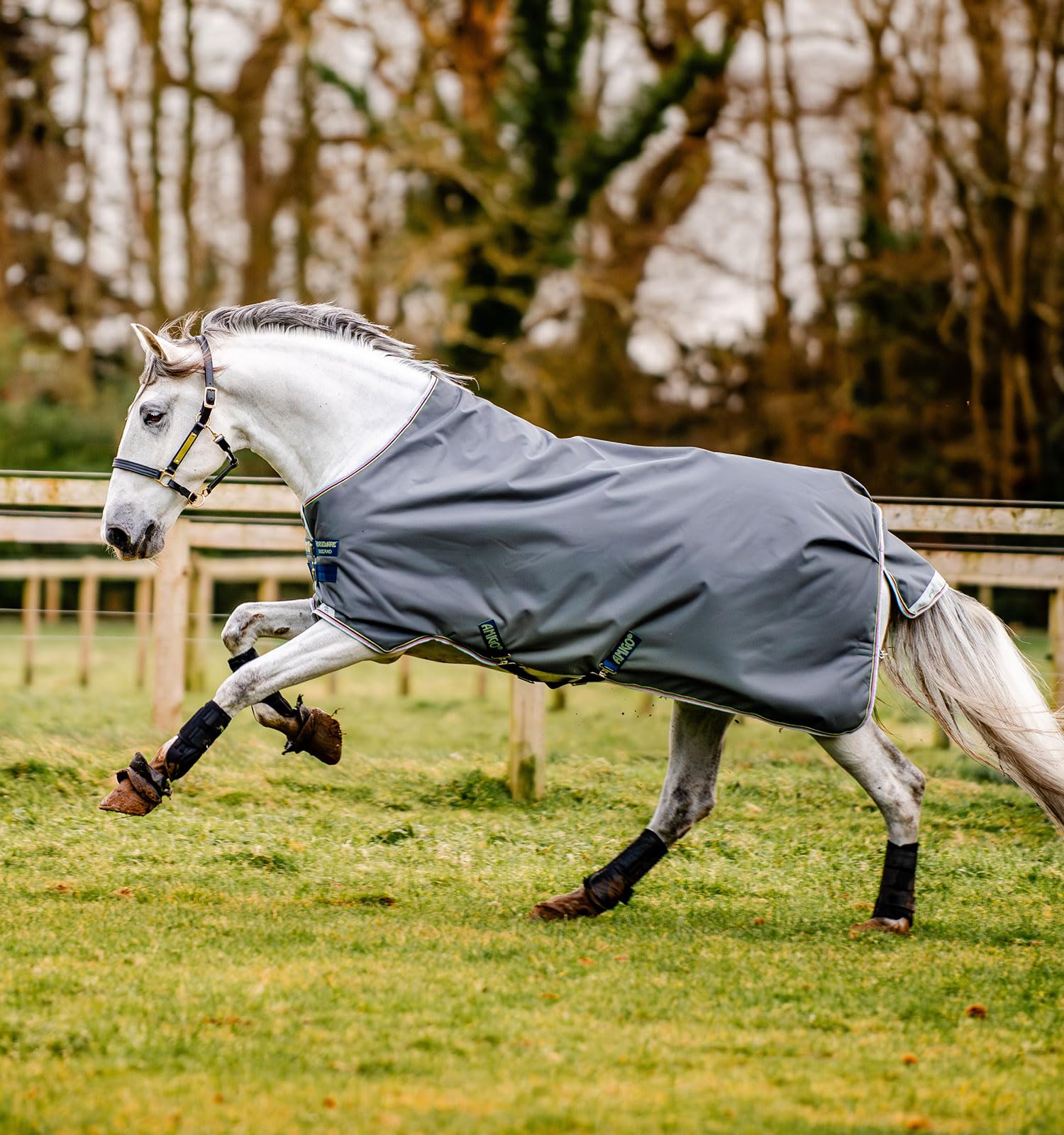 Horseware® Amigo® Bravo 12 Original Weidedecke (100g leicht)