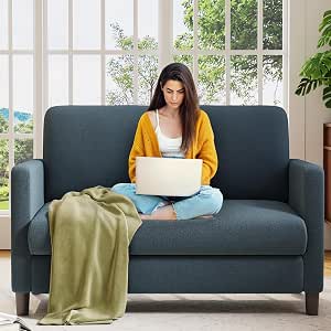 Welzona Loveseat, 51" Small Couch with Teddy Fabric, Washable Covers, Tool-free Assembly, All-wood Frame, Blue Grey