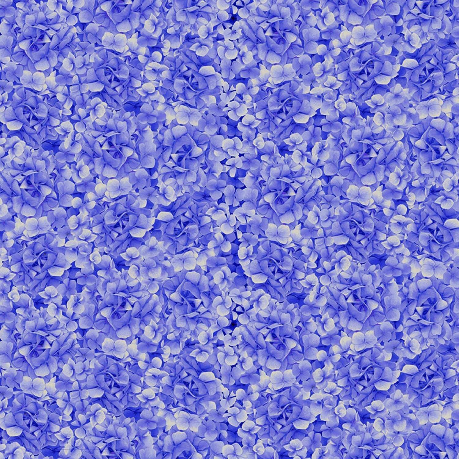 Amazon.com: Hydrangea Bliss by Timeless Treasures Blue Packed Flower ...