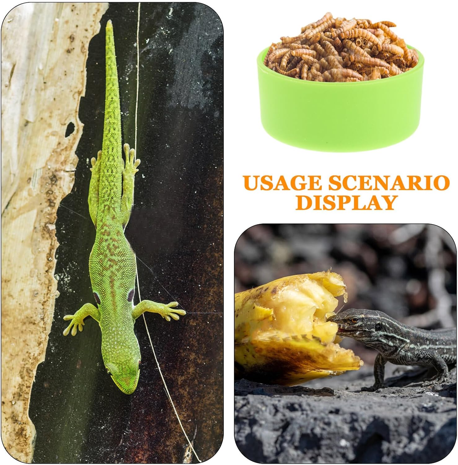 Milisten 30pcs Small Green Reptile Feeding Bowls and Water Dishes for Hermit Crab, Tarantula, Gecko, Bearded Dragon, Chameleon, and Frog Terrarium Use