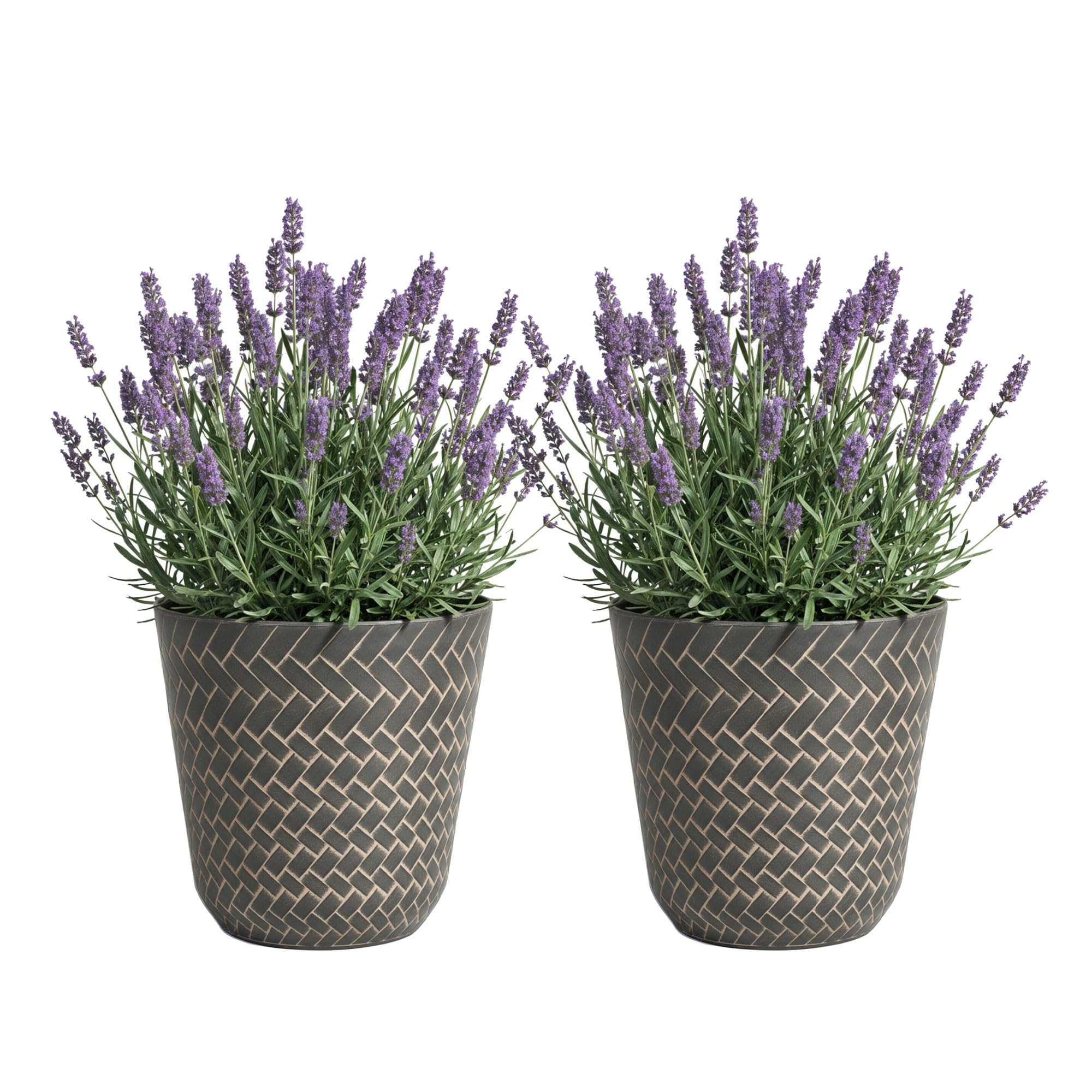 SG Traders Nantucket Plant Pot - Flower Planters Outdoor, Large Garden Pots Elegant Design, Versatile for Your Outdoor Space, Enhance Your Garden (Pack of 2)