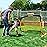 Happy Jump Soccer Goal Soccer Net for Kids Backyard 5x3.6ft, 2 Set