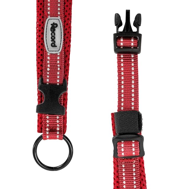 Foto 4 de 5 de Record - Collar Perro Andes - Fabricado en Nylon Resistente - Detalles Reflectantes