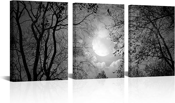 Visual Art Decor Black and White Full Moon Forest Trees Picture Goth Room Decor Canvas Wall Art Framed Artwork Gothic Home Decor Living Room Bedroom Home Office Decoration 3 Piece
