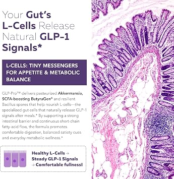 GLP-ProTM: Probiotic & Postbiotic Blend for Natural GLP-1 Support Akkermansia MucTTM, ButyraGen Butyrate Generator & Spore Bacillus Healthy Appetite, SCFA & Metabolic Balance 30 Count