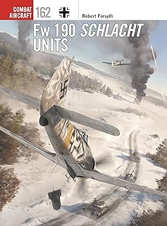 Fw 190 Schlacht Units (Combat Aircraft Book 162)