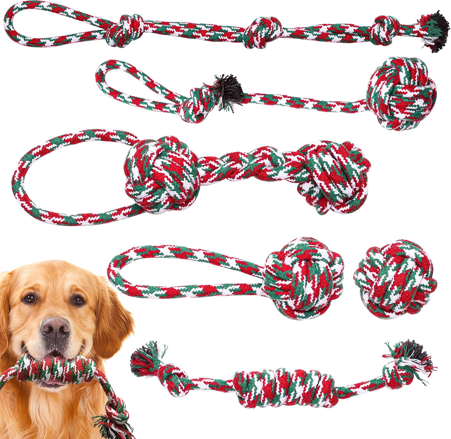 Y YOU DA SAFE & SOUND Puppy Dog Chew Toys 6 Pack, Poly Tug Toy for Dogs, Pet Interactive Toys, Small to Medium Dog Rope Toys for Boredom…