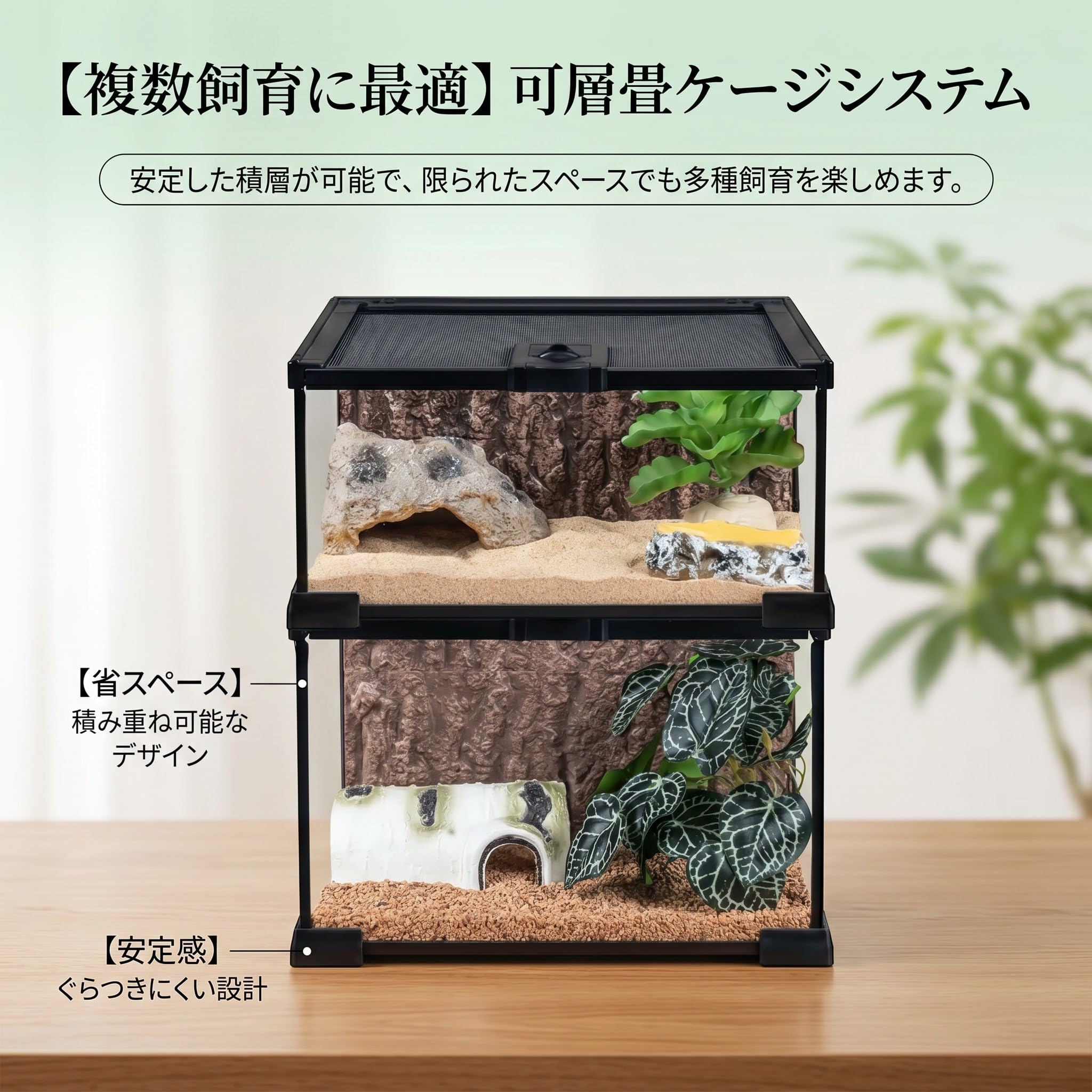 Amazon | 爬虫類 ケージ 爬虫類飼育 苔 テラリウム グラステラリウム
