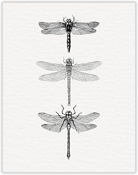 Sage Light Design Co Vintage Dragonfly Wall Art Print |11x14 UNFRAMED Ink Illustration | Rustic, Farmhouse, Minimalist Home Decor | Black Etching on Watercolor Paper