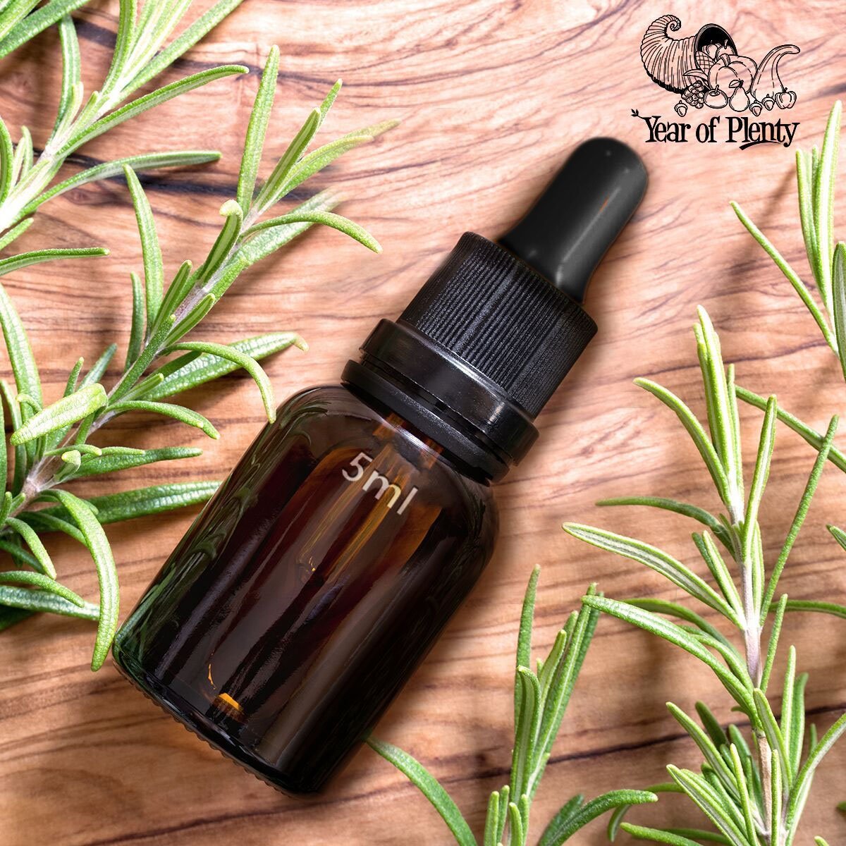Year of Plenty Glass Eye Droppers for 5ml Essential Oil Bottles | 12-Pack | Black | Compatible with doTERRA, Young Living, Rocky Mountain, Plant Therapy, Plant Guru, Edens Garden