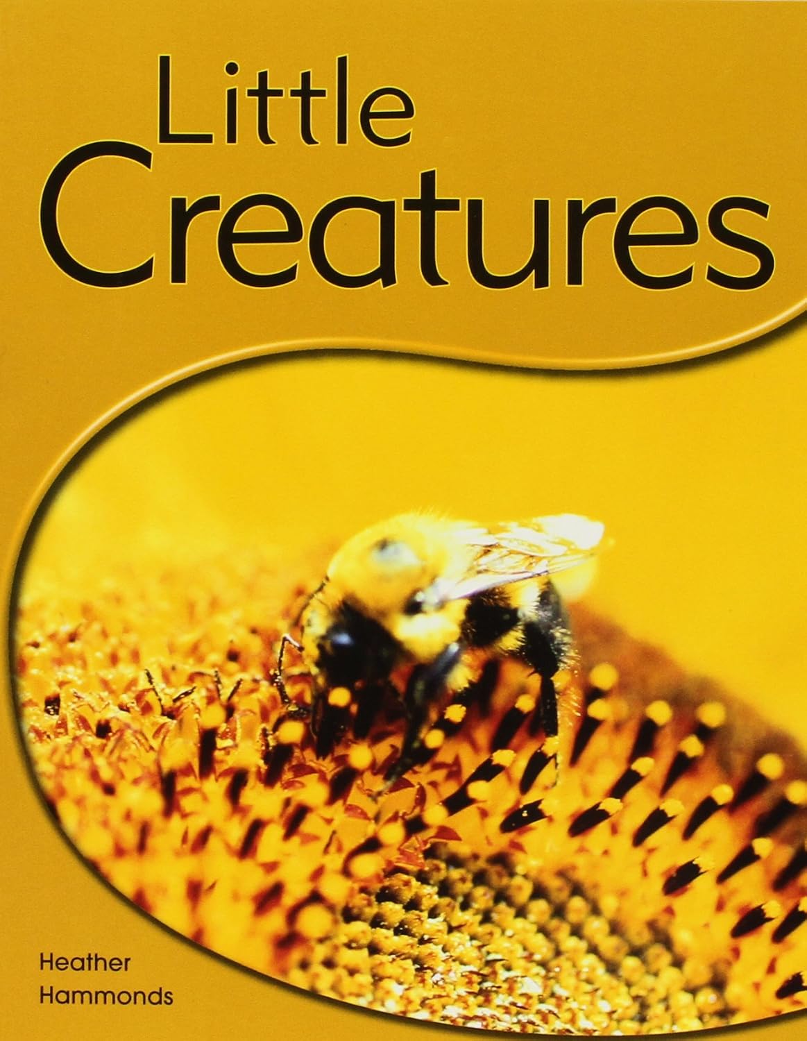 Amazon.com: Little Creatures: Leveled Reader (Levels 6-7) (Rigby PM ...