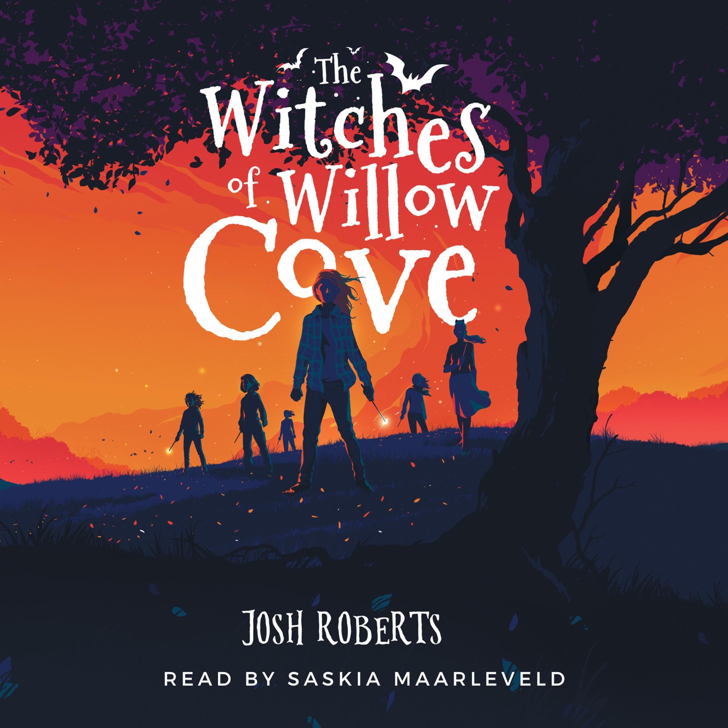 Cover art for The Witches of Willow Cove