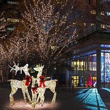 Atkits 3Pcs Reindeer عيد الميلاد الديكور ، الرنة المضاءة عيد الميلاد ، زينة الرنة في الهواء الطلق LED مضاءة عيد الميلاد الغزلان يارد ، تضيء الرنة عيد الميلاد الغزلان الديكور لقضاء عطلة