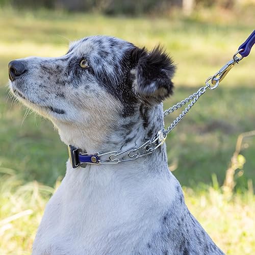 Miniatura 7 de Herm Sprenger Collar para perro de acero cromado con hebilla ClicLock de liberación rápida y collar de entrenamiento con inserto de bioano para