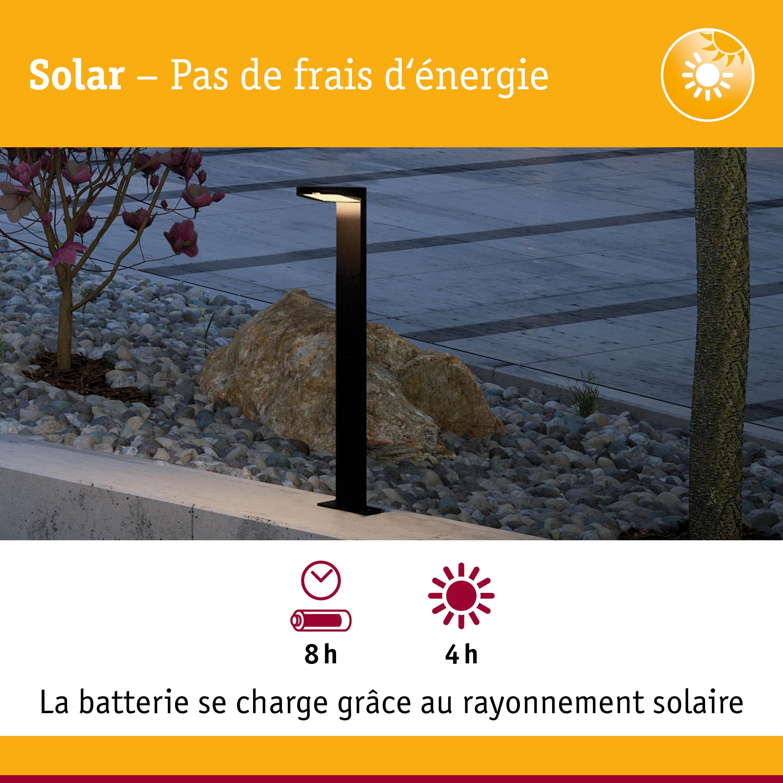 Paulmann 94249 Ryse Luminaire d'extérieur LED solaire avec 1 x 1,2 W anthracite plastique 3000 K blanc chaud 1,2 W