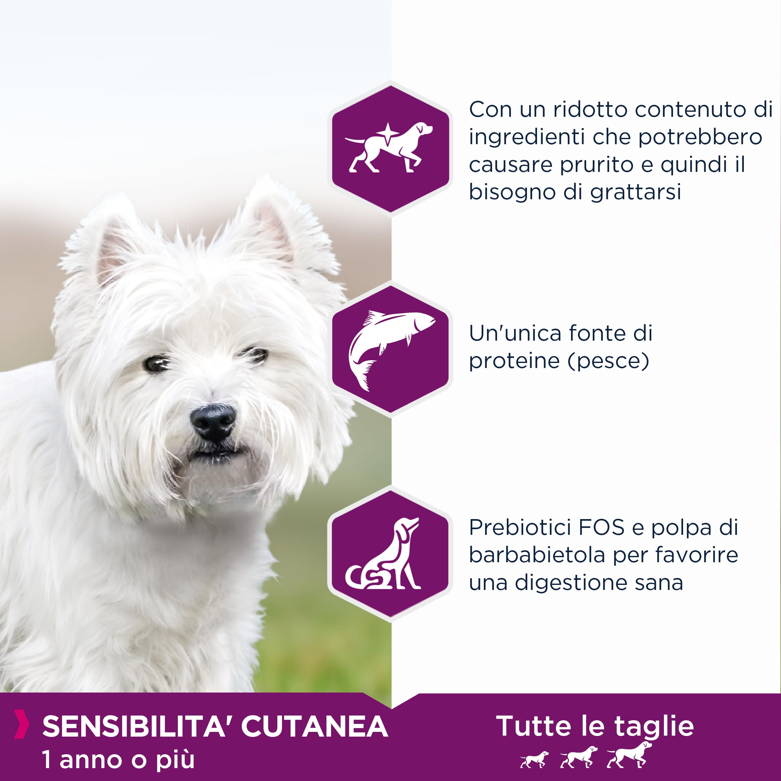 Eukanuba Daily Care Sensitive Skin crocchette - Cibo secco per cani con pelle sensibile – Alimento ipoallergenico con pesce, 2,3 kg