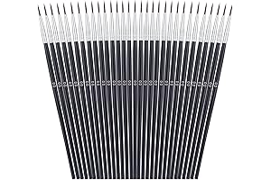 Anezus 30 Pcs Thin Painting Brushes for Precision Artistry