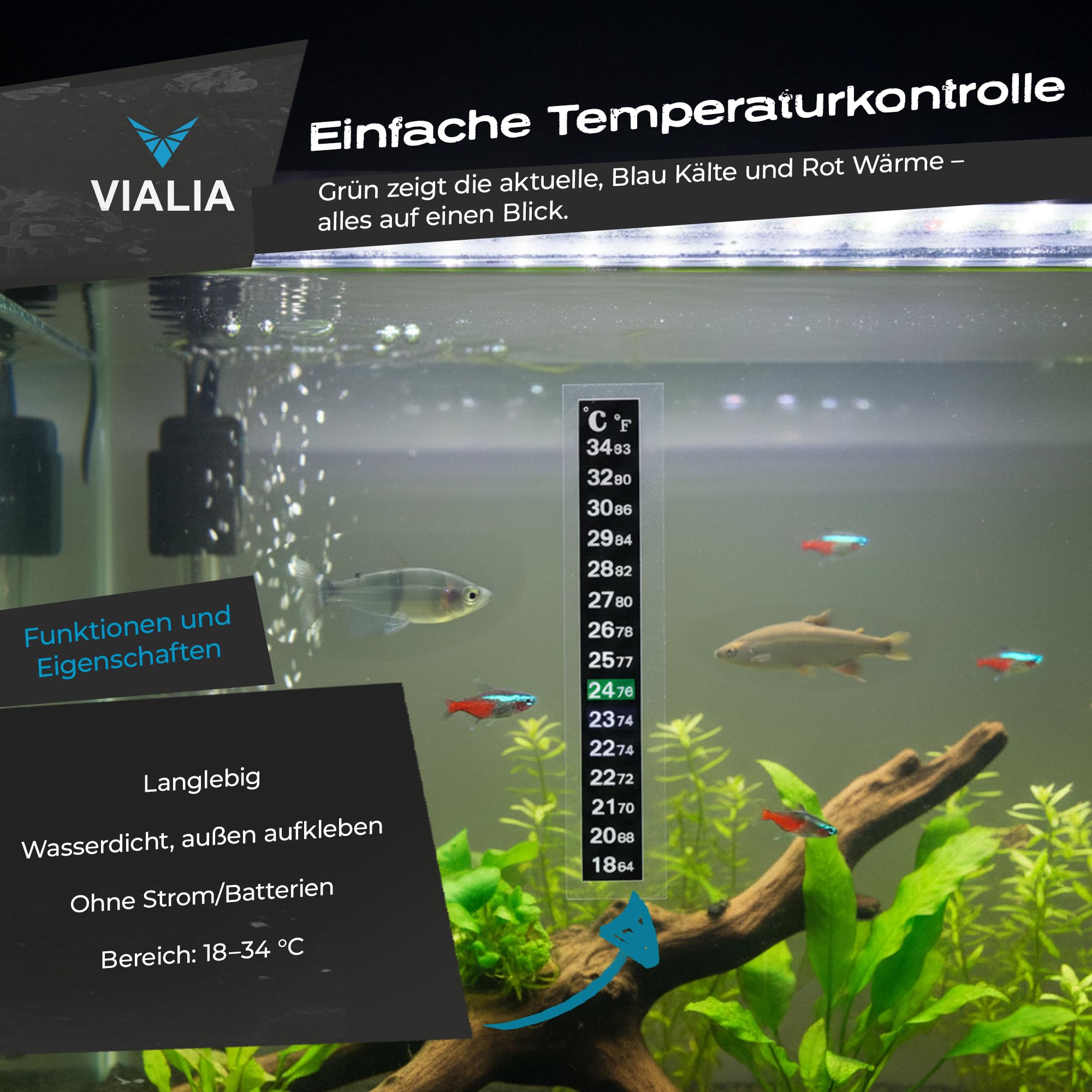Aquarium Set 60x30x30 cm Weiß, 54 Liter Glasbecken ohne Abdeckung | Starterset inkl. Heizer, Thermometer, Futter & Wasseraufbereiter, Floatglas mit Diamantschliff für Süß- & Meerwasser