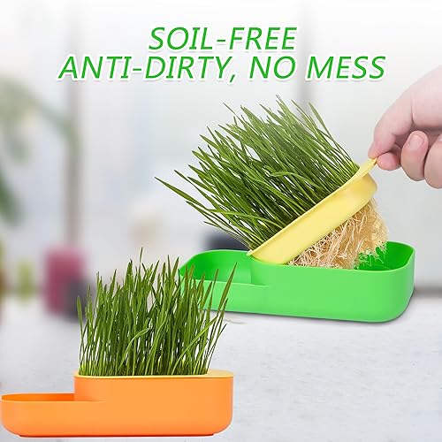 Miniatura 2 de Juego de 2 macetas hidropónicas de hierba para gatos, kit de hierba de trigo para gatos, bandeja de germinación de semillas sin tierra para gatos de