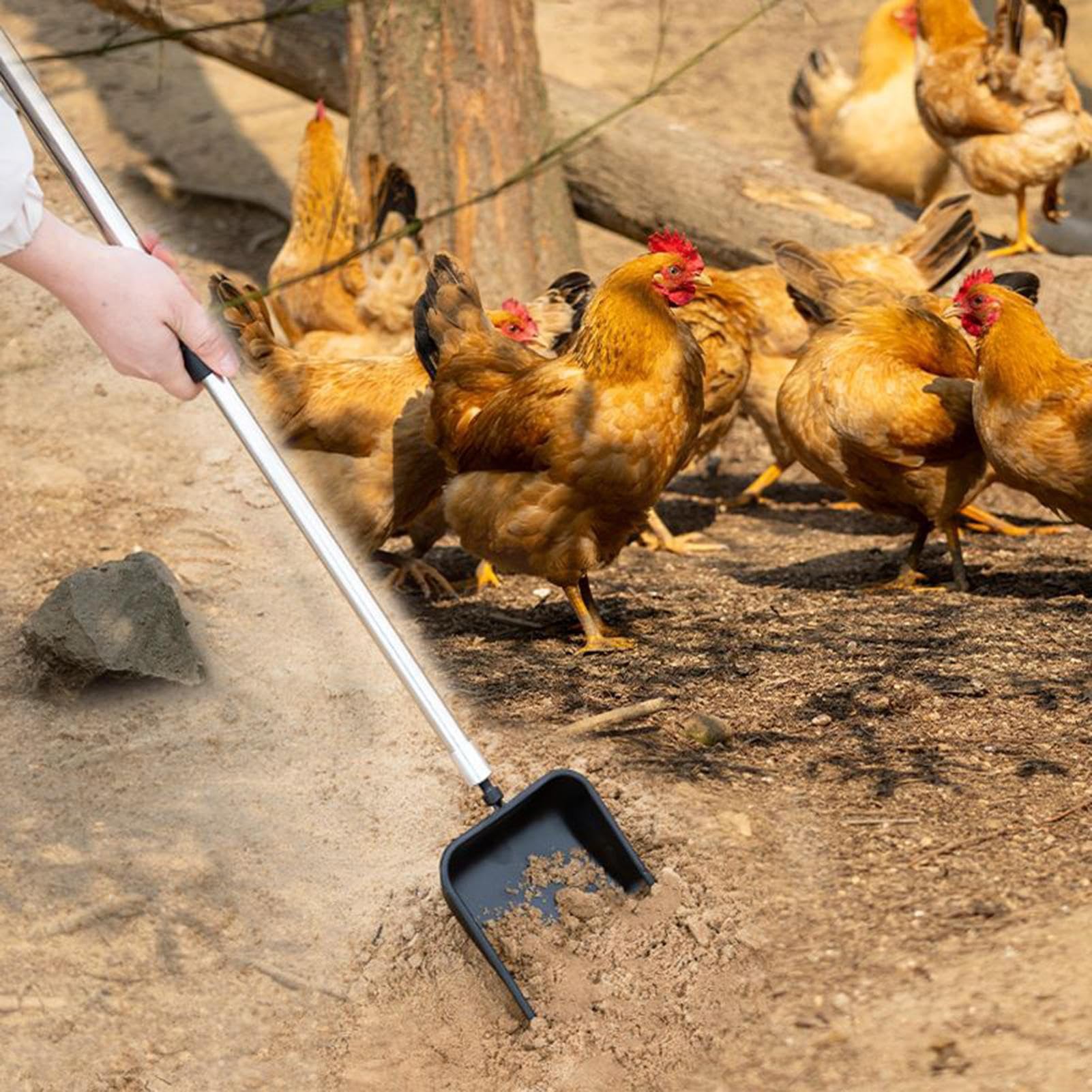 Pala para Arena de Gato, Herramienta ergonómica Multifuncional con 4 Accesorios de Pala for Arena y cría Aves Corral
