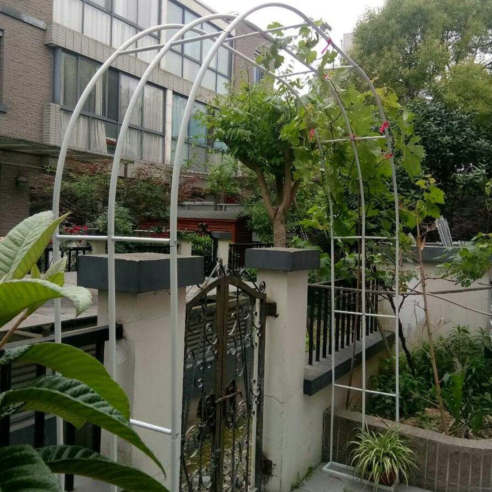 SDdPulse Arco da giardino per esterni, pergolato per piante rampicanti, arco decorativo per rose, arco decorativo in metallo resistente alle intemperie, supporto per piante clematide per rose d'uva, 3