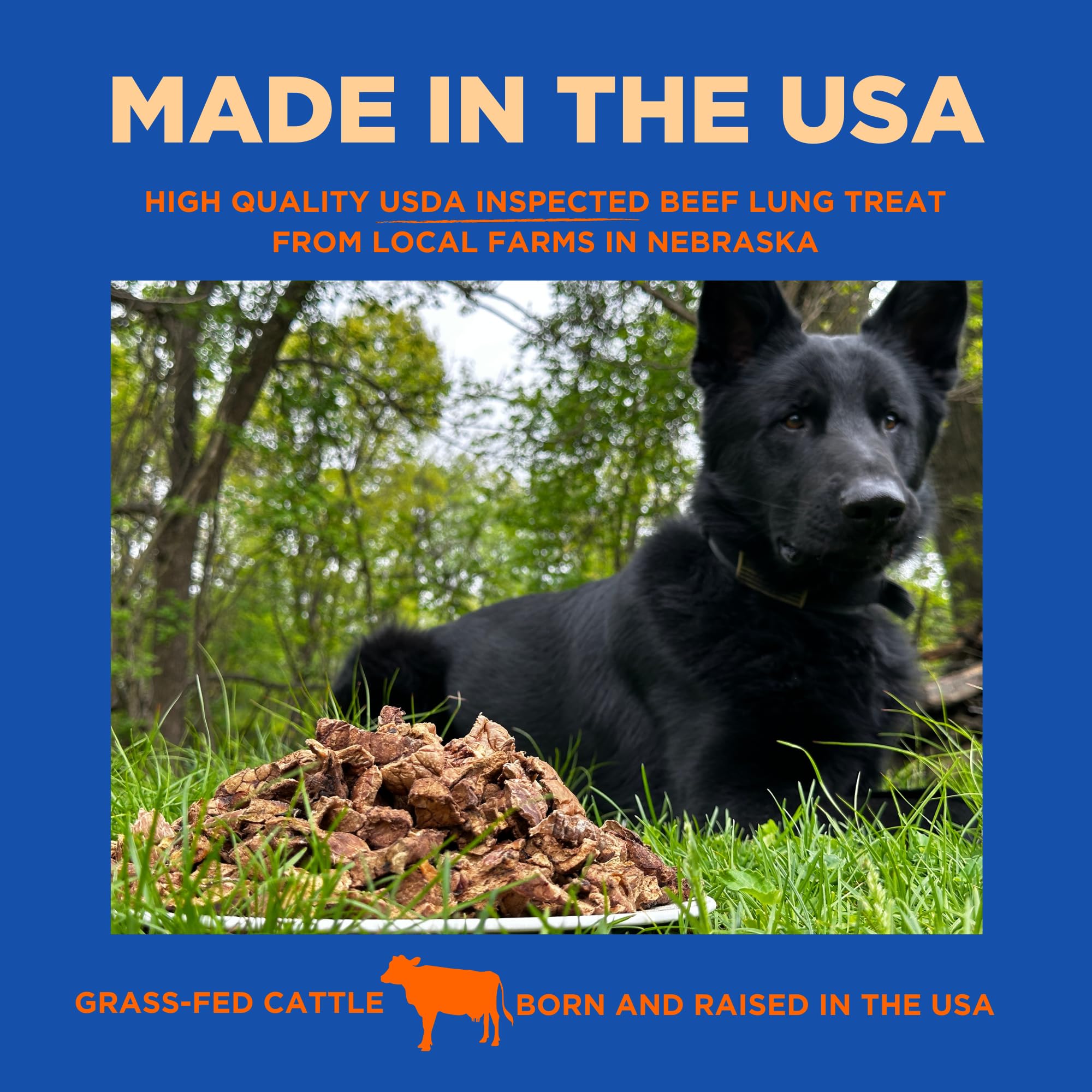 PAWW CHEW Beef Lung Dog Treats - 100% Natural, Single Ingredient, (1 Pound) Made in The USA, Dried & Dehydrated, High Protein, High Value Dog Training Treats, Grain Free, Low-Odor Free for All Breeds - image 3