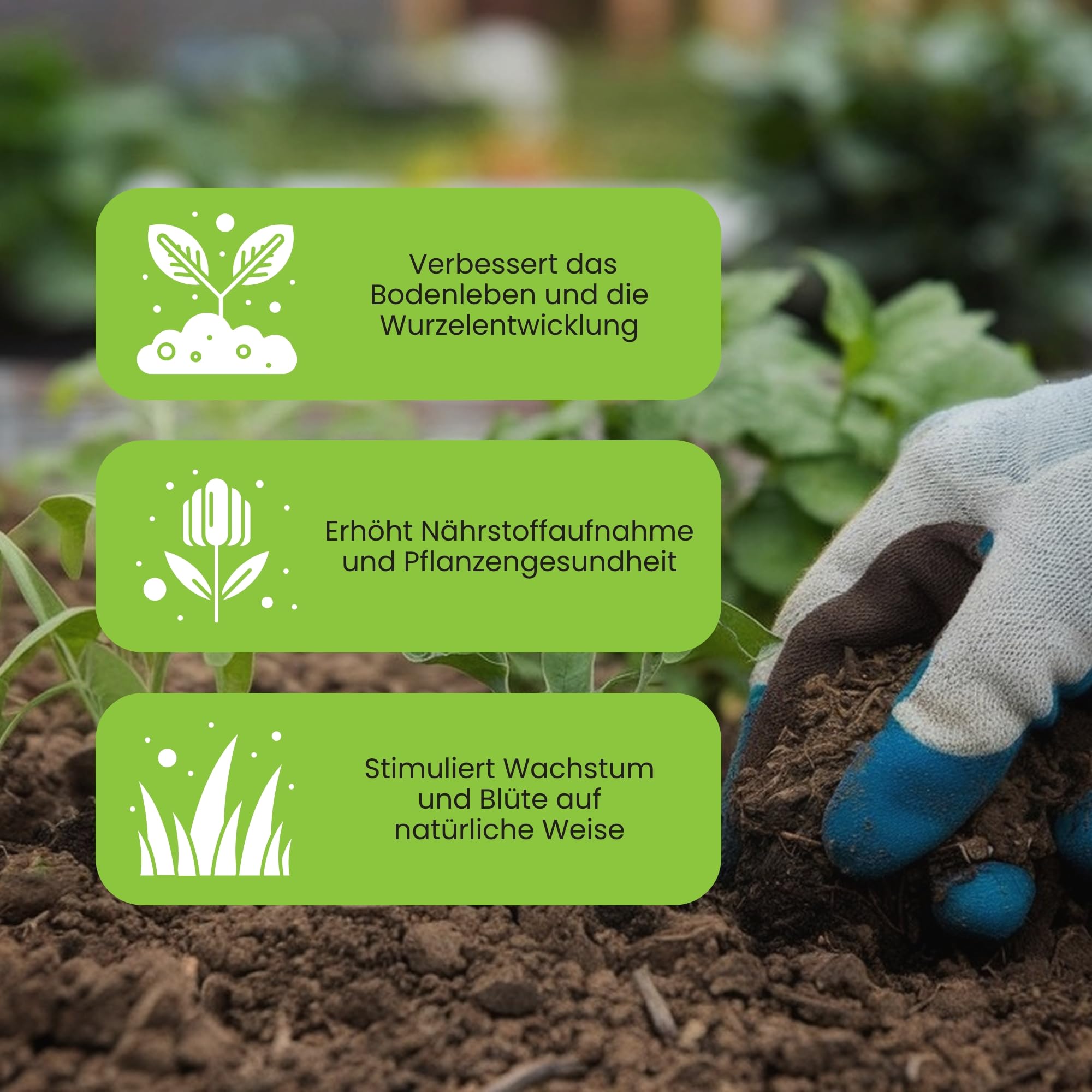 Starter Kit Mykoriza organischer Dünger Pflanzendünger 5-teiliges Set Gemüse Kräuter Blumen