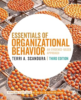 Essentials of Organizational Behavior - International Student Edition: An Evidence-Based Approach