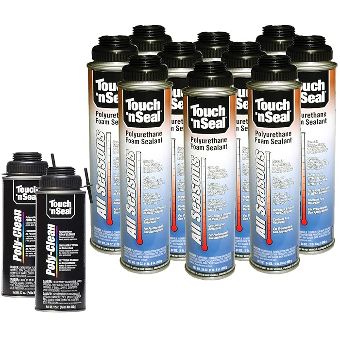 Buy Touch N Seal All Seasons Polyurethane Gun Foam Spray Sealant Kit