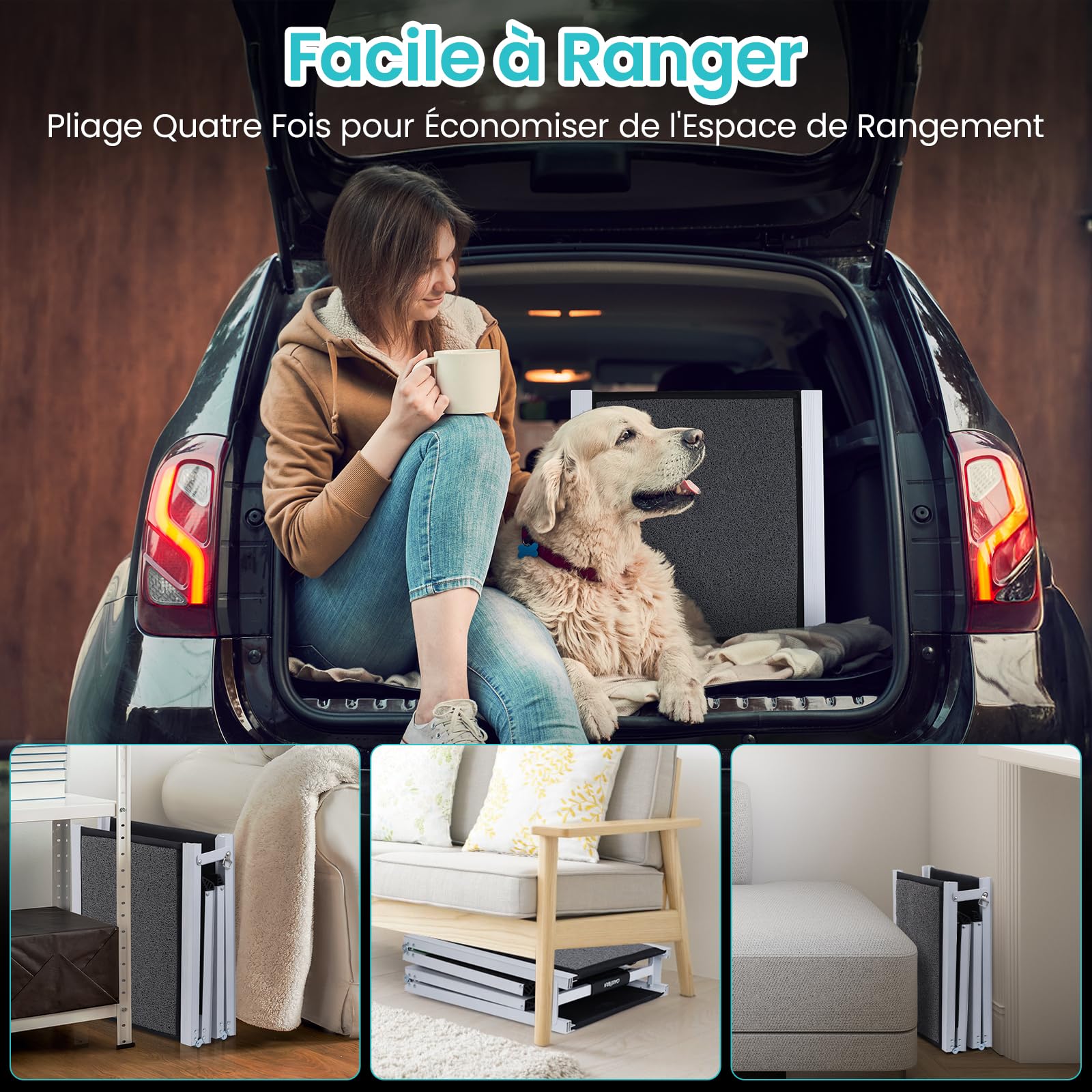 DAISTERN de BSWAY Rampe pour Chien Voiture Pliable 180cm x 50cm, Rampe d'Accès Escalier Extérieur avec Tapis Antidérapant, Cadre en Métal Aluminium Revêtu de Poudre Capacité de Charge jusqu'à 129KG