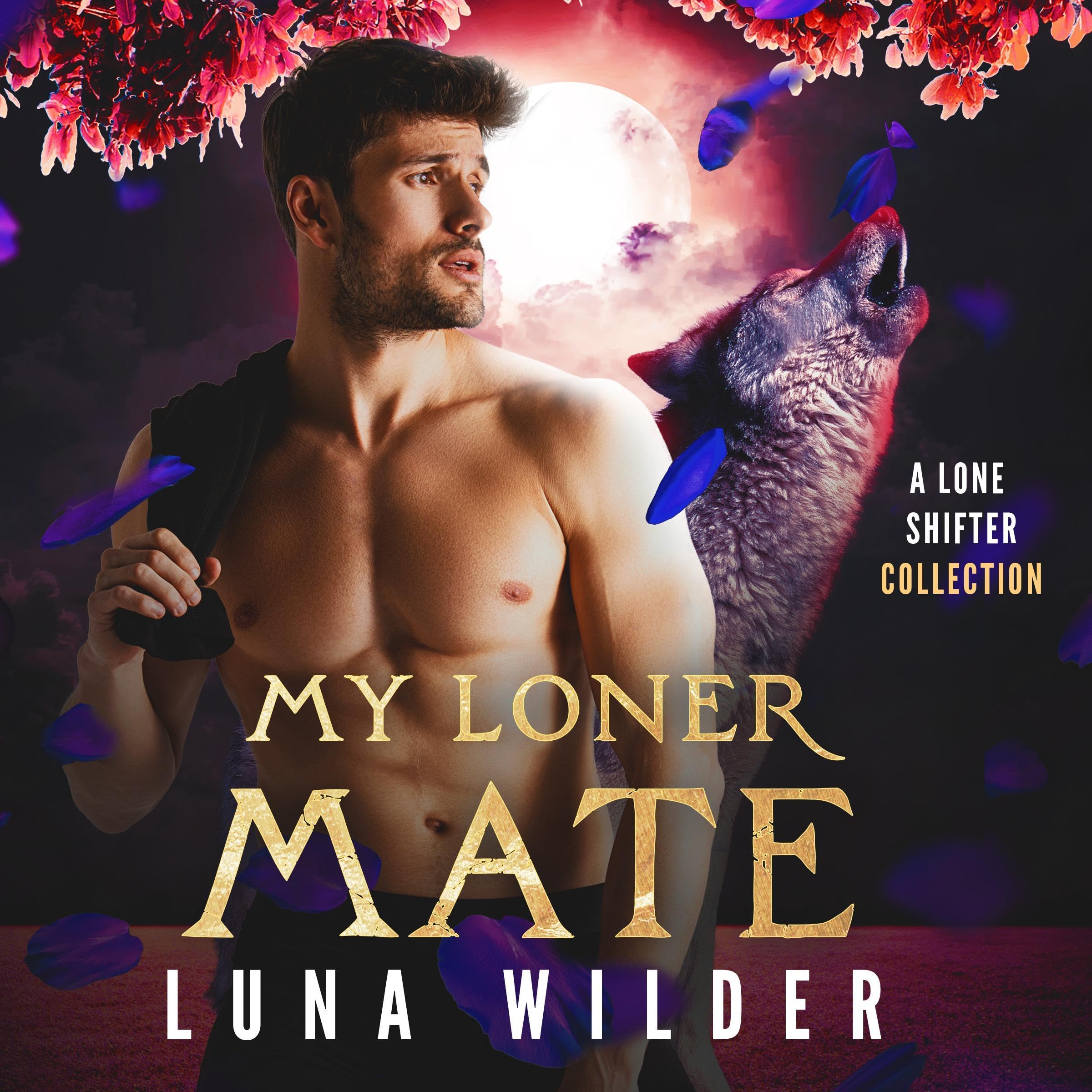 Cover art for My Loner Mate