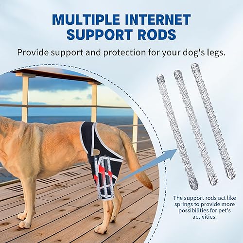 Miniatura 6 de Rodillera para perro para pierna trasera desgarrada, protege las articulaciones del perro, soporte de soporte ajustable para la pierna delantera y