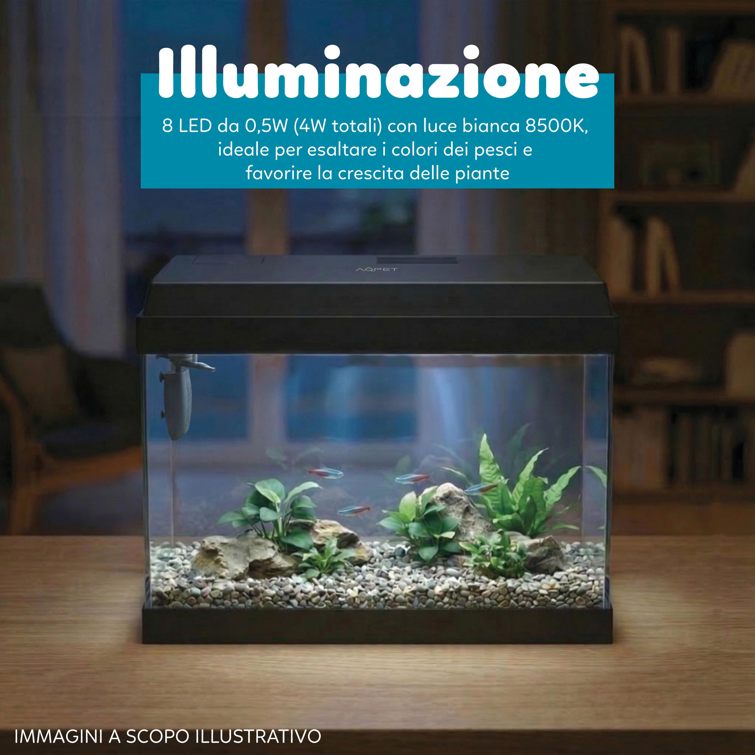 AQPET Acquario in Vetro per Pesci Tropicali Completo di Accessori Filtro Luce Simply, 30 39x22x30 cm 30 Litri