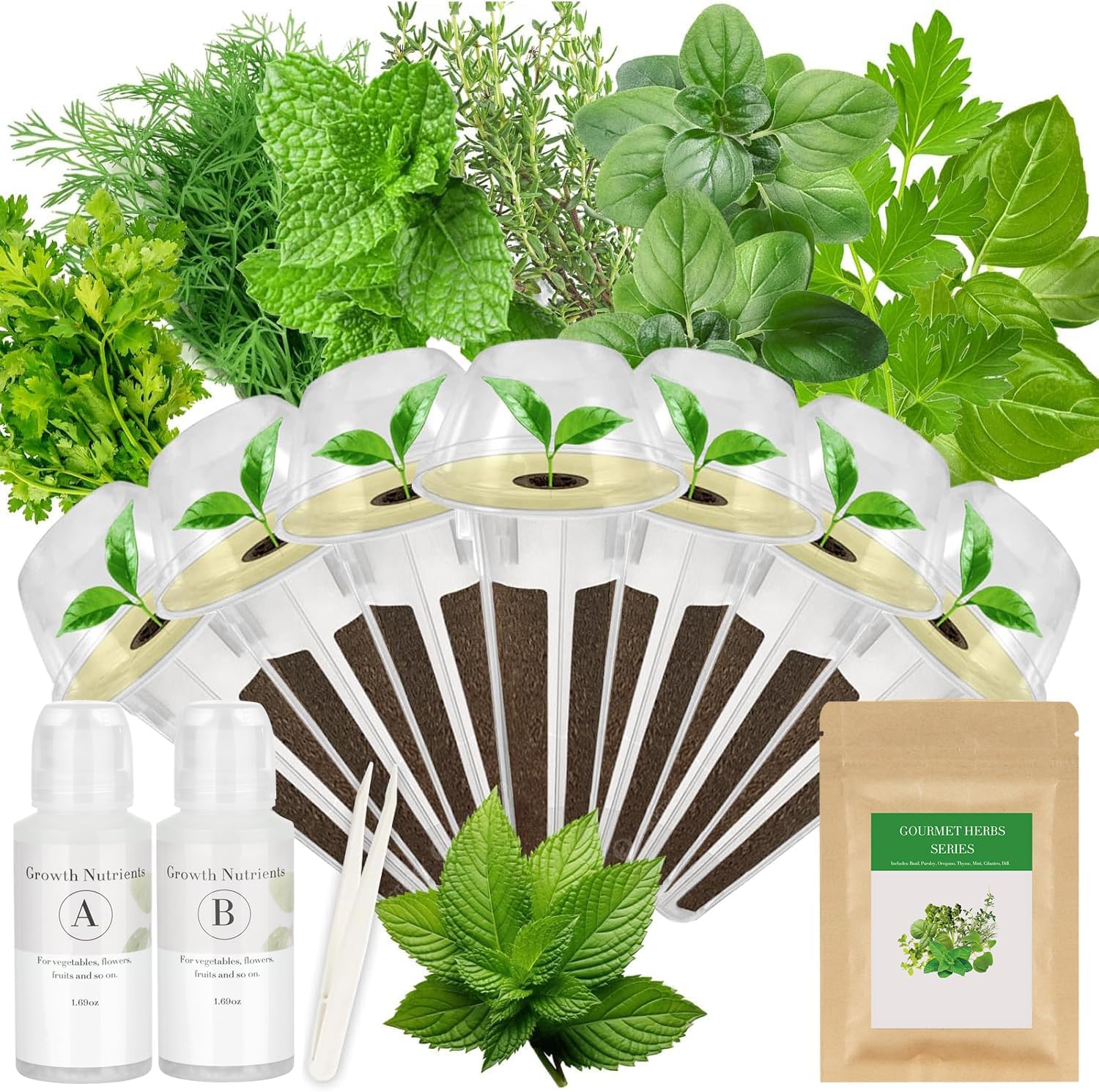 Gourmet Herb Seed Pod Kit for AeroGarden, idoo, Ahopegarden ...