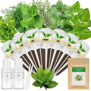 Gourmet Herb Seed Pod Kit for AeroGarden, idoo, Ahopegarden, MUFGA with Basil, Parsley, Thyme, Mint, Cilantro, Dill, Oregano - Compatible with All Hydroponics (7-Pod) - Amazon product rated Grade B