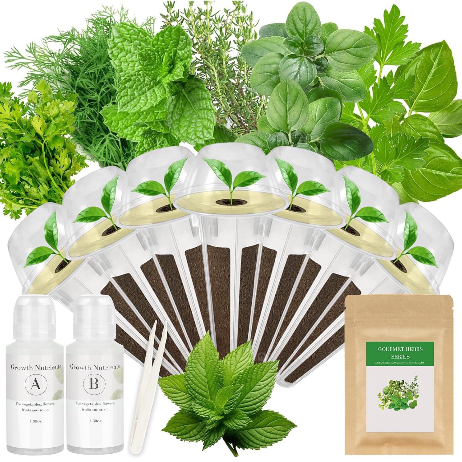Gourmet Herbs Seed Pod Kit for AeroGarden, iDoo, Ahopegarden, MUFGA Hydroponics Garden with Basil, Parsley, Thyme, Mint, Cilantro, Dill, Oregano - Compatible with All Hydroponics (7-Pod)
