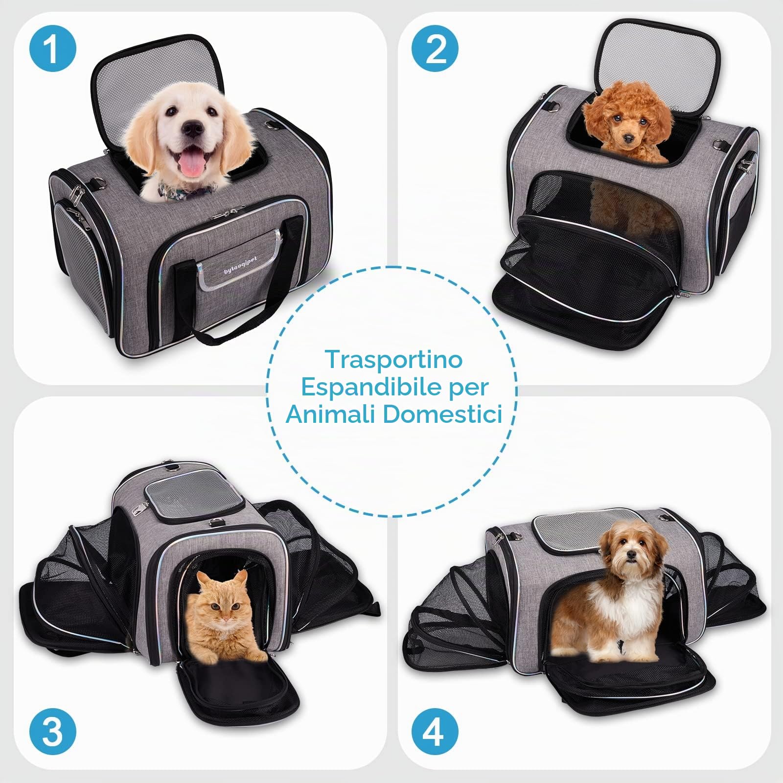 Borsa da Trasporto per Gatti - Trasportino Rigido Omologato IATA per Gatti a 4 Lati - Borsa da Viaggio per Gatti Espandibile per Viaggi in Aereo