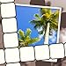 Picture Perfect Crossword