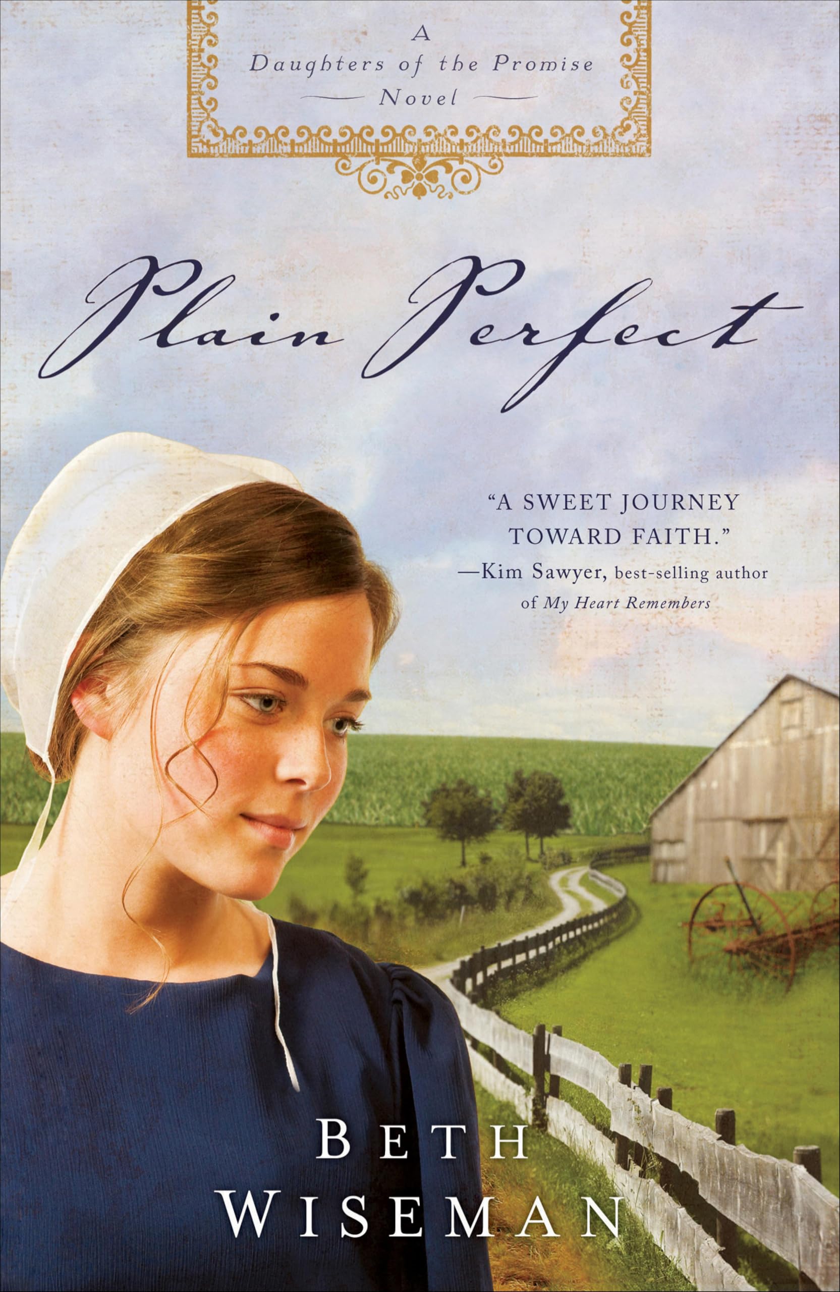 Plain Perfect (Daughters of the Promise Book 1)