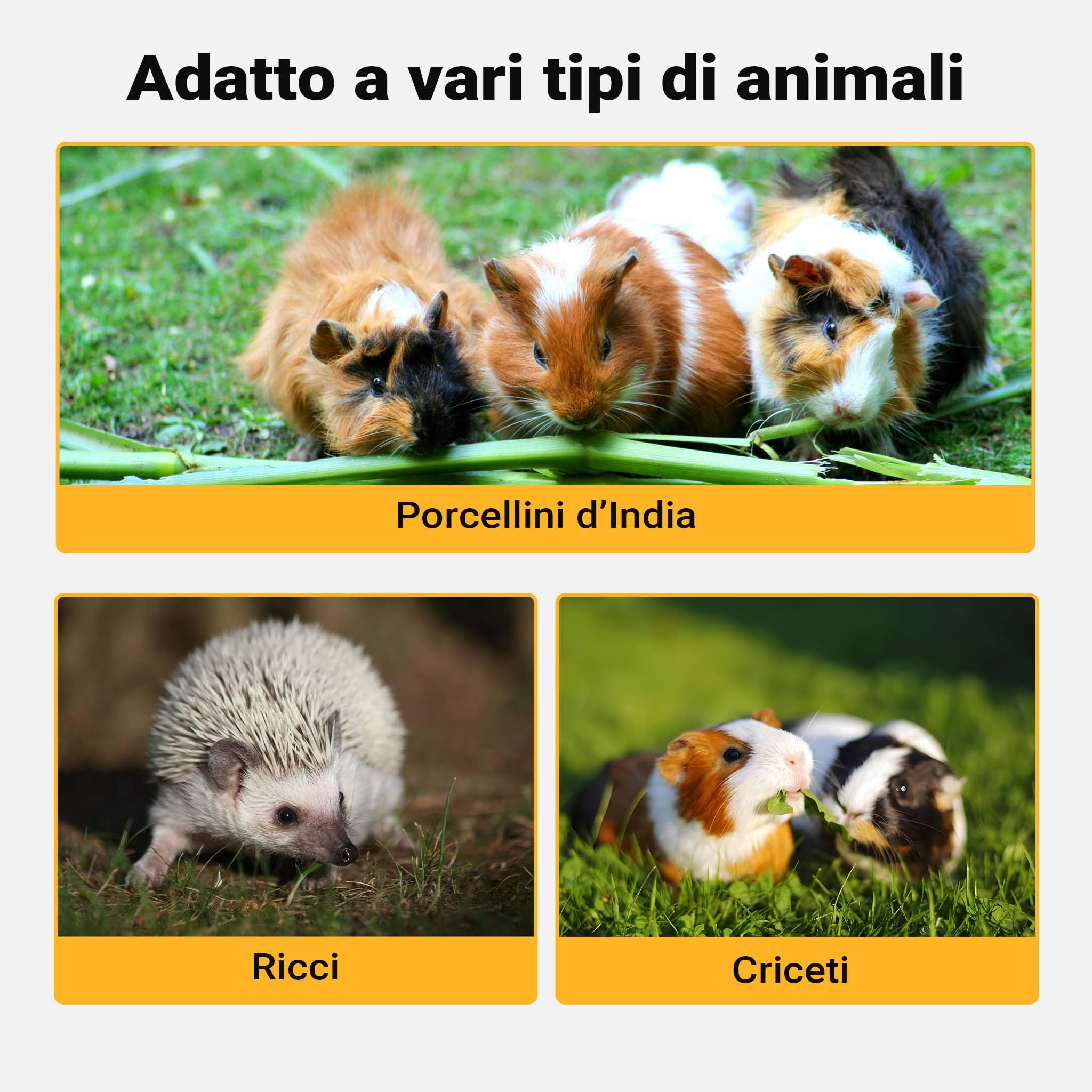 Gabbia per roditori piccoli animali a 3 livelli in legno e plexiglas con tetto apribile
